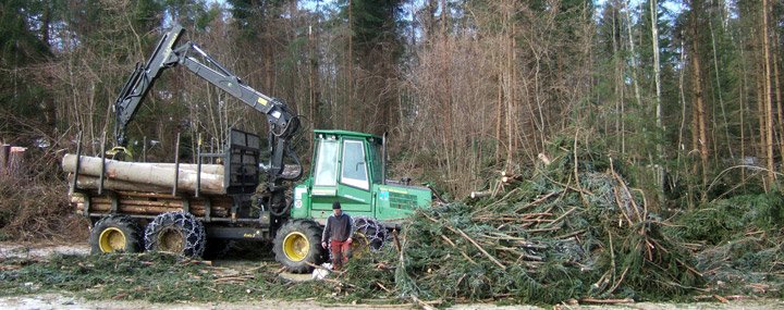 Leben für den Wald